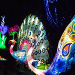 magical-lantern-festival